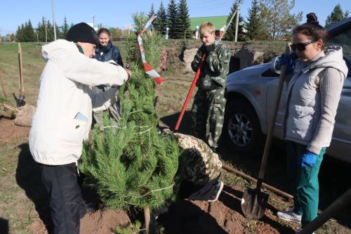 Новая аллея в честь Асафа Абдрахманова в Агрызе