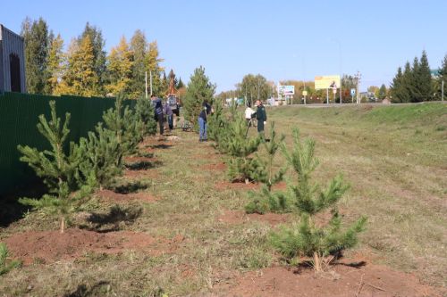 Новая аллея в честь Асафа Абдрахманова в Агрызе