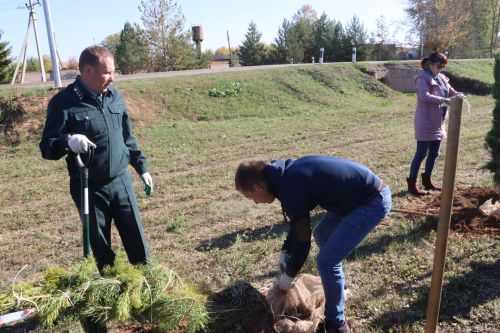 Новая аллея в честь Асафа Абдрахманова в Агрызе