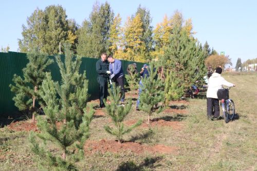 Новая аллея в честь Асафа Абдрахманова в Агрызе