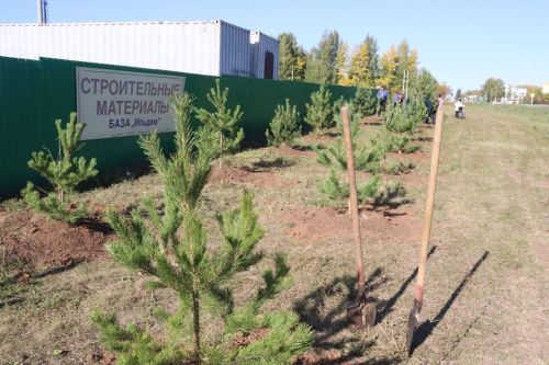 Новая аллея в честь Асафа Абдрахманова в Агрызе