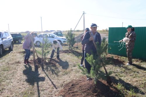 Новая аллея в честь Асафа Абдрахманова в Агрызе
