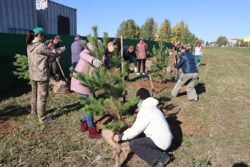 Новая аллея в честь Асафа Абдрахманова в Агрызе