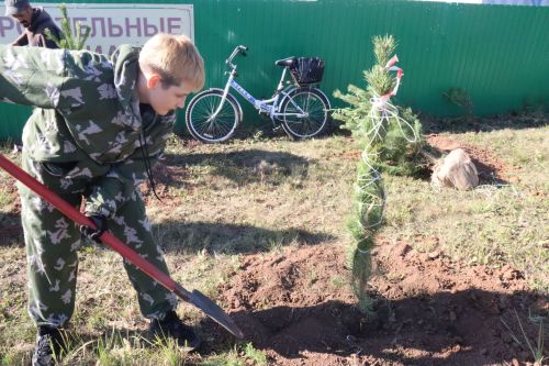 Новая аллея в честь Асафа Абдрахманова в Агрызе