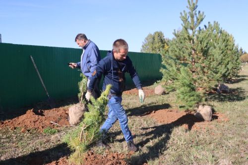 Новая аллея в честь Асафа Абдрахманова в Агрызе