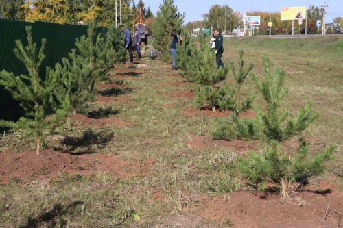 Новая аллея в честь Асафа Абдрахманова в Агрызе