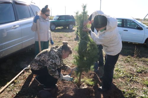 Новая аллея в честь Асафа Абдрахманова в Агрызе