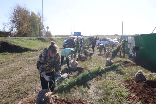 Новая аллея в честь Асафа Абдрахманова в Агрызе