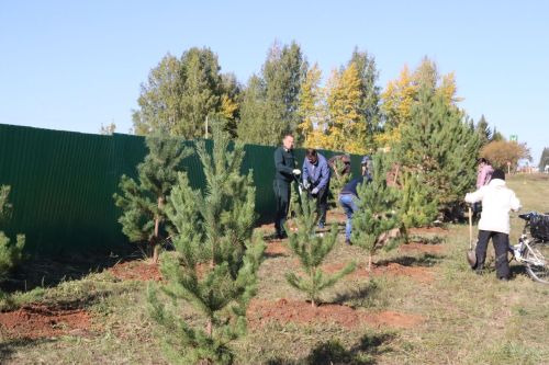 Новая аллея в честь Асафа Абдрахманова в Агрызе