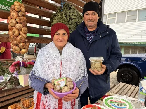 Осенние ярмарки в разгаре!