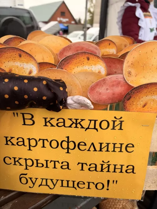 Осенние ярмарки в разгаре!