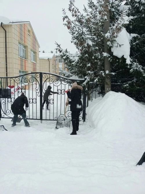 Общегородской субботник борьбы со снегом