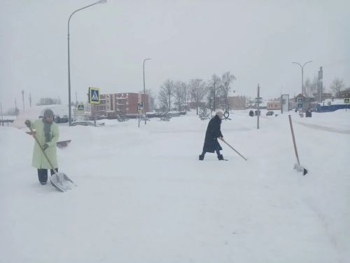 Общегородской субботник борьбы со снегом