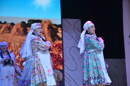 Триумф талантов: в Агрызском районе прошёл гала-концерт «Радуга культур»