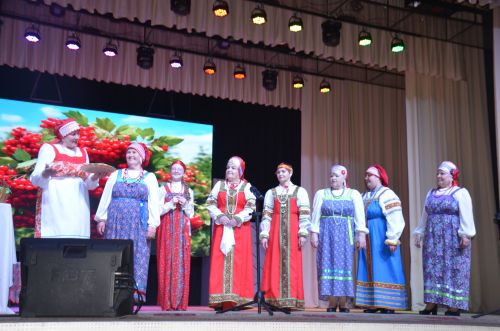 Триумф талантов: в Агрызском районе прошёл гала-концерт «Радуга культур»