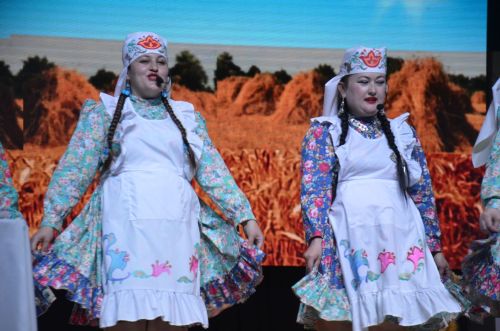 Триумф талантов: в Агрызском районе прошёл гала-концерт «Радуга культур»