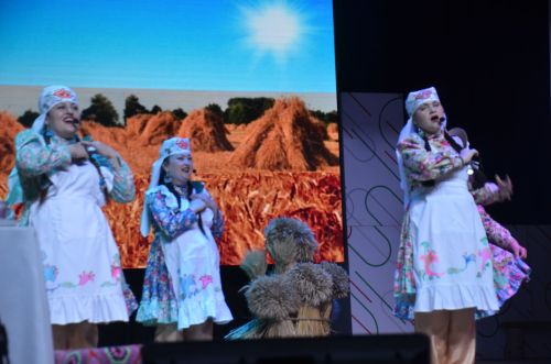 Триумф талантов: в Агрызском районе прошёл гала-концерт «Радуга культур»