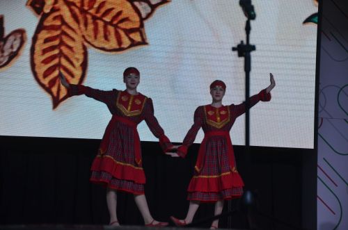Триумф талантов: в Агрызском районе прошёл гала-концерт «Радуга культур»