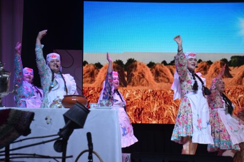 Триумф талантов: в Агрызском районе прошёл гала-концерт «Радуга культур»