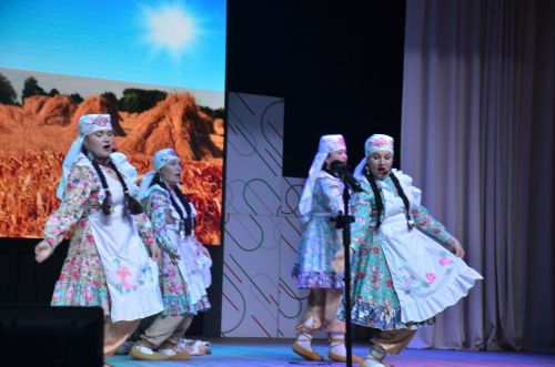 Триумф талантов: в Агрызском районе прошёл гала-концерт «Радуга культур»