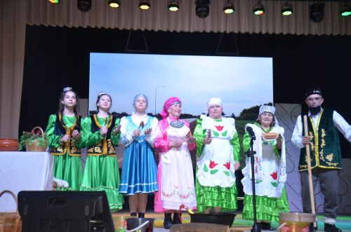 Триумф талантов: в Агрызском районе прошёл гала-концерт «Радуга культур»