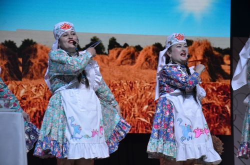 Триумф талантов: в Агрызском районе прошёл гала-концерт «Радуга культур»