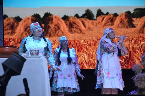 Триумф талантов: в Агрызском районе прошёл гала-концерт «Радуга культур»