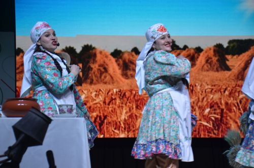 Триумф талантов: в Агрызском районе прошёл гала-концерт «Радуга культур»