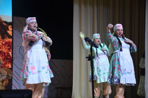 Триумф талантов: в Агрызском районе прошёл гала-концерт «Радуга культур»