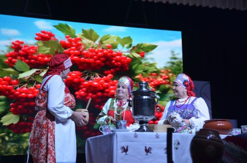 Триумф талантов: в Агрызском районе прошёл гала-концерт «Радуга культур»