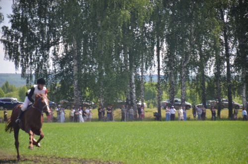 В Агрызе состоялся народный татарский праздник - Сабантуй