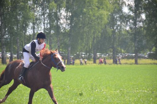В Агрызе состоялся народный татарский праздник - Сабантуй