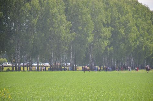 В Агрызе состоялся народный татарский праздник - Сабантуй