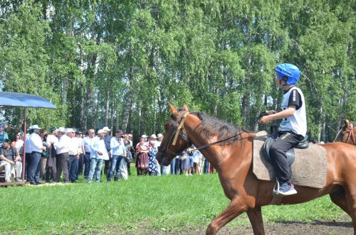 В Агрызе состоялся народный татарский праздник - Сабантуй