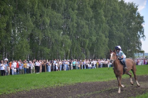 В Агрызе состоялся народный татарский праздник - Сабантуй