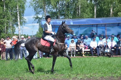 В Агрызе состоялся народный татарский праздник - Сабантуй