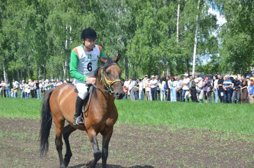 В Агрызе состоялся народный татарский праздник - Сабантуй