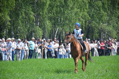 В Агрызе состоялся народный татарский праздник - Сабантуй