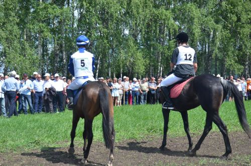 В Агрызе состоялся народный татарский праздник - Сабантуй