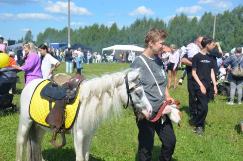 В Агрызе состоялся народный татарский праздник - Сабантуй