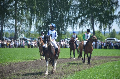 В Агрызе состоялся народный татарский праздник - Сабантуй
