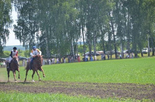 В Агрызе состоялся народный татарский праздник - Сабантуй