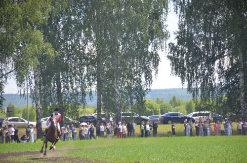 В Агрызе состоялся народный татарский праздник - Сабантуй