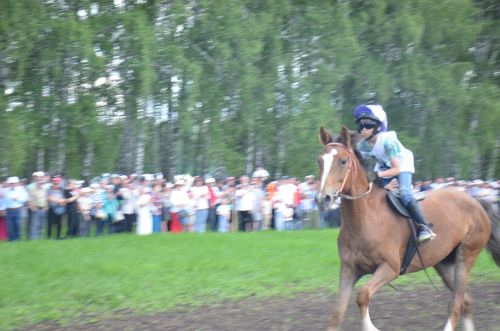 В Агрызе состоялся народный татарский праздник - Сабантуй