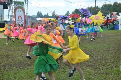 В Агрызе состоялся народный татарский праздник - Сабантуй