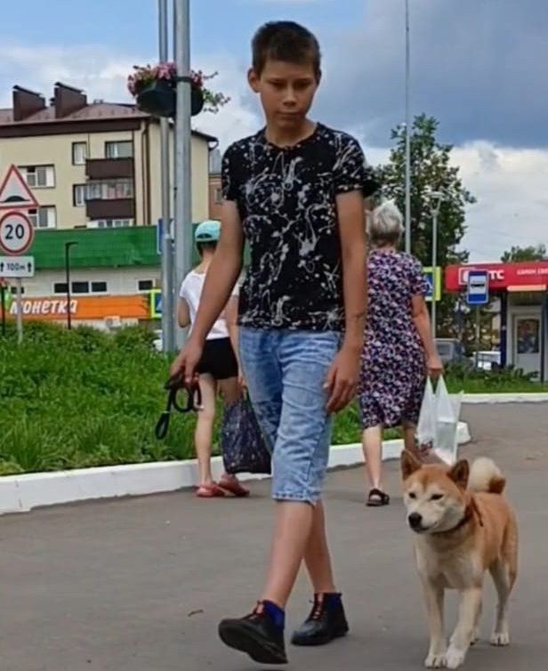 В Агрызе продолжаются поиски пропавшего мальчика