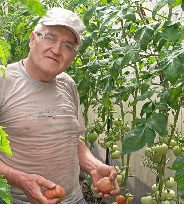 Илдус Шәйхетдинов җәйне бакчада уздыра