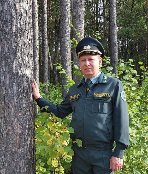 Руководитель Агрызского лесничества Владимир Ишмуратов: Лесоводство – мой образ жизни