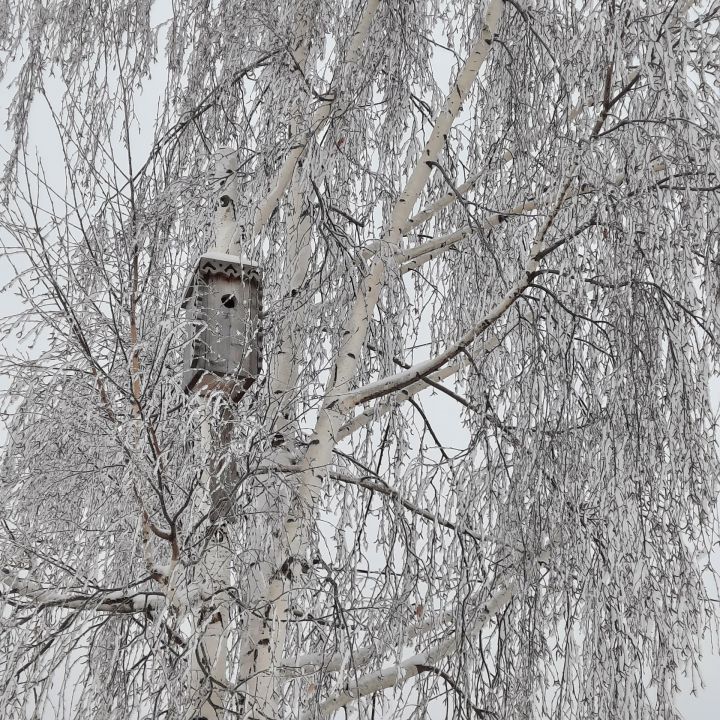 Прогноз погоды на 28 января