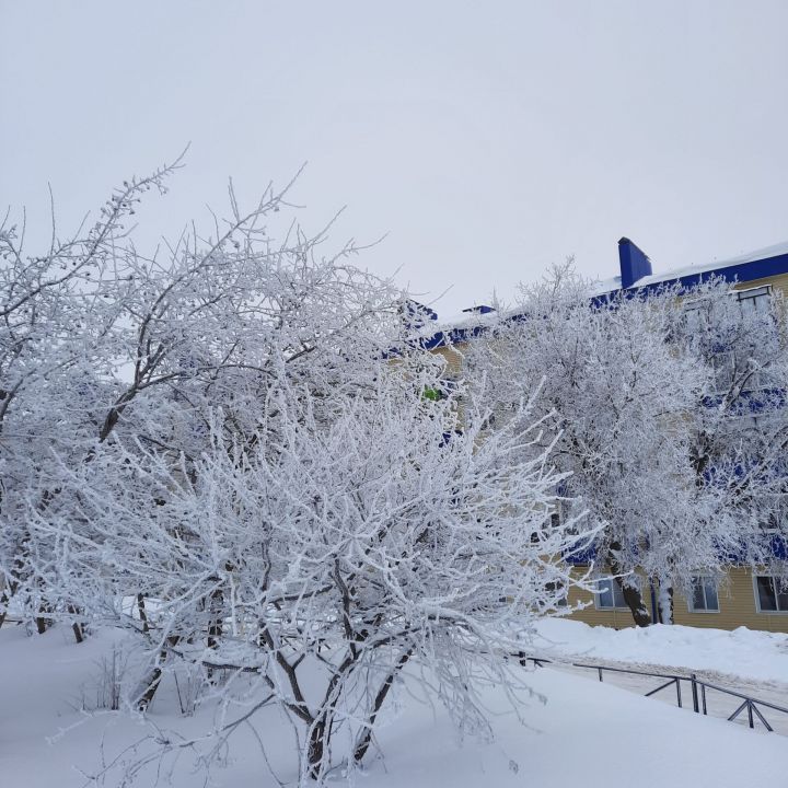 Прогноз погоды на 30 января